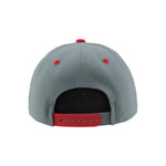 Load image into Gallery viewer, Zephyr Stingrays Bullpen Snapback Hat
