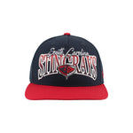 Load image into Gallery viewer, Zephyr Stingrays Apex Snapback Hat
