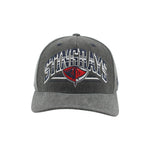 Load image into Gallery viewer, Zephyr Stingrays College Snapback Hat
