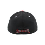 Load image into Gallery viewer, Zephyr Stingrays Pop 3D Fitted Hat
