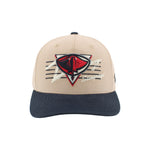 Load image into Gallery viewer, Zephyr Stingrays Careen Snapback Hat
