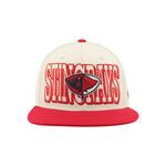 Load image into Gallery viewer, Zephyr Stingrays Rockwell Hat
