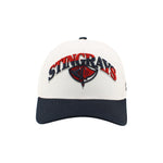 Load image into Gallery viewer, Zephyr District 3D Snapback Hat
