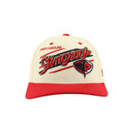 Load image into Gallery viewer, Zephyr Upshot Snapback Hat
