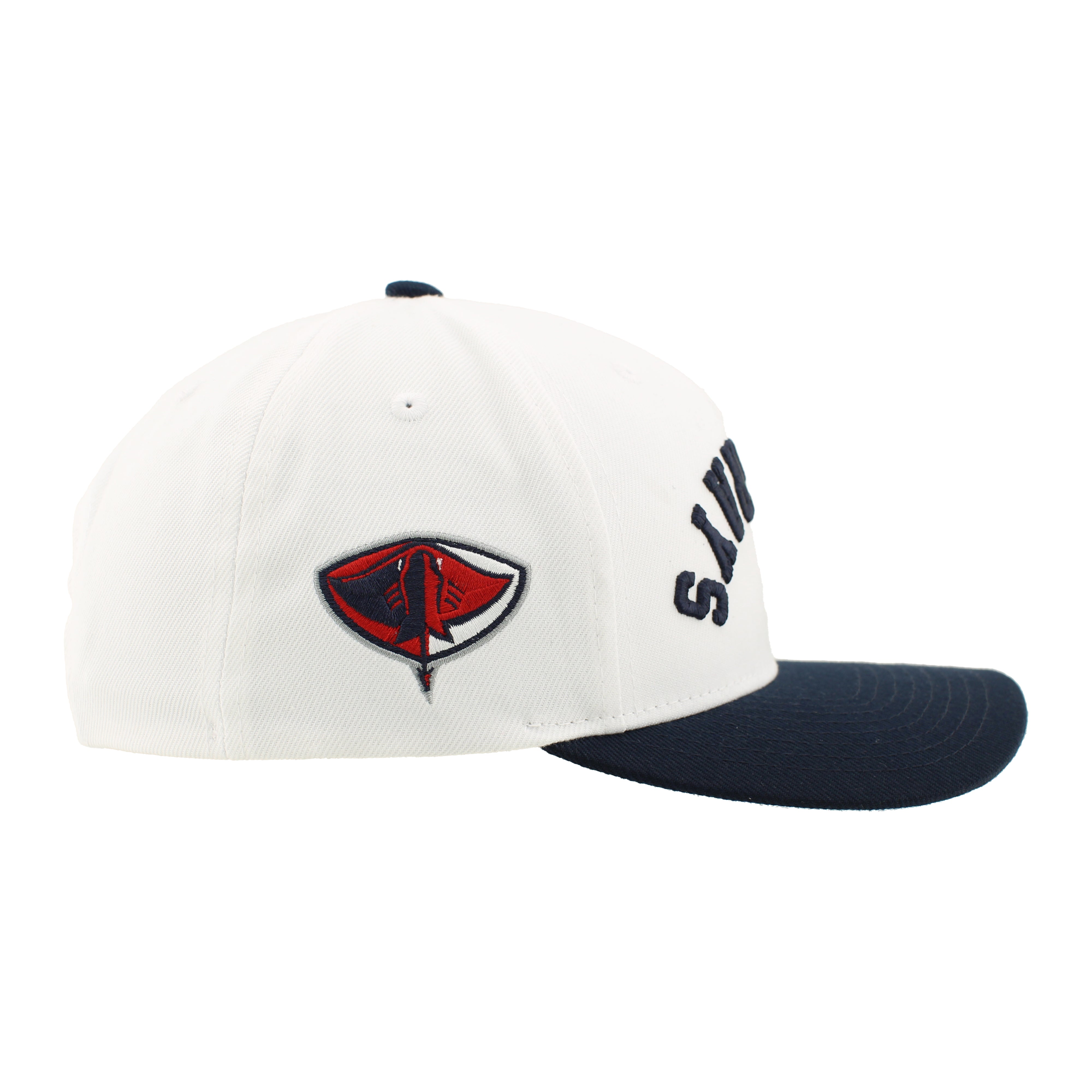 Zephyr Transposed 3D Snapback Hat