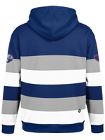 Load image into Gallery viewer, South Carolina Stingrays Gray Striped Hockey Hoodie
