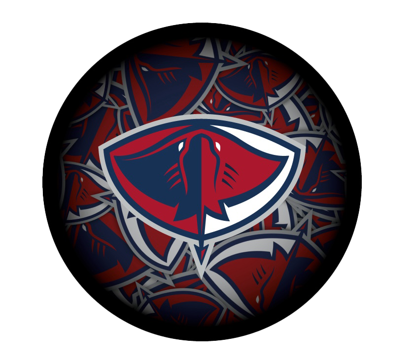 Stingrays Clone Souvenir Puck