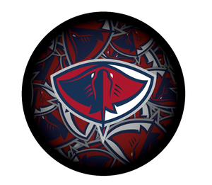 Stingrays Clone Souvenir Puck