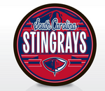 Load image into Gallery viewer, SC Stingrays Ribbon Puck
