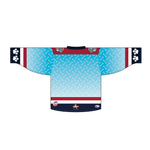 Load image into Gallery viewer, Paw Patrol Specialty Jersey (Please Read Description Below)
