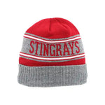 Load image into Gallery viewer, Zephyr Glacier 3D Knit Beanie
