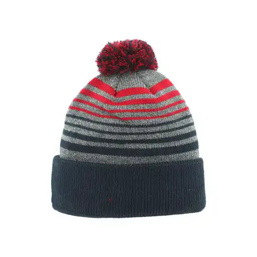 Zephyr Official 3D Pom Knit Beanie