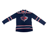 Load image into Gallery viewer, Vintage Adult Navy CCM Stingrays Replica Jersey

